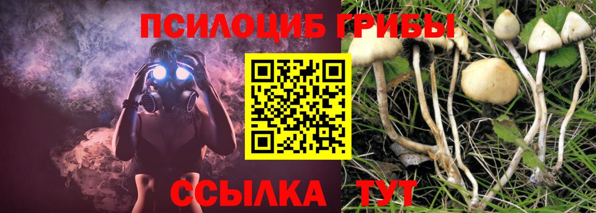 Псилоцибиновые грибы Cubensis  Вход с VPN  Морозовск  Галлюциногенные грибы GOLDEN TEACHER 