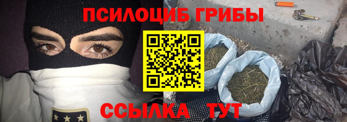 Галлюциногенные грибы прущие грибы Морозовск